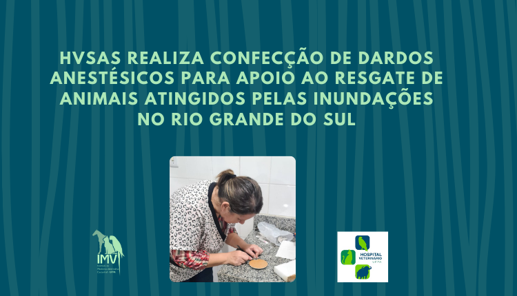 imagem sem descrição.